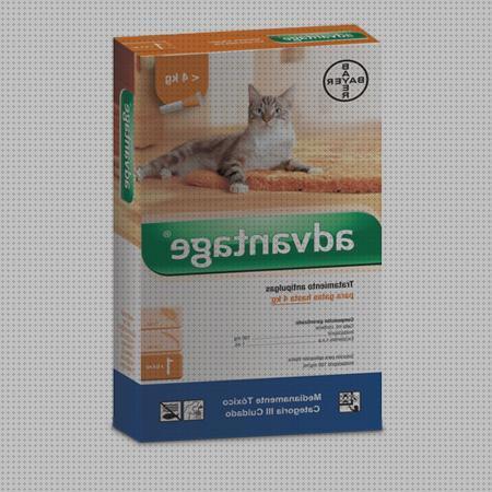 Review de pastilla para pulgas gatos precio