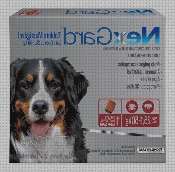 ¿Dónde poder comprar antipulgas perros pastilla antipulgas para perros?