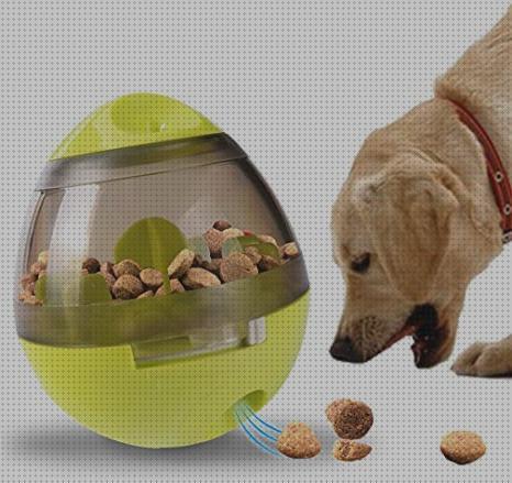 Las mejores pelotas mascotas pelota inteligente para mascotas