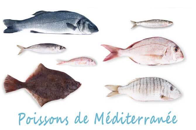 Pescados del mar mediterráneo