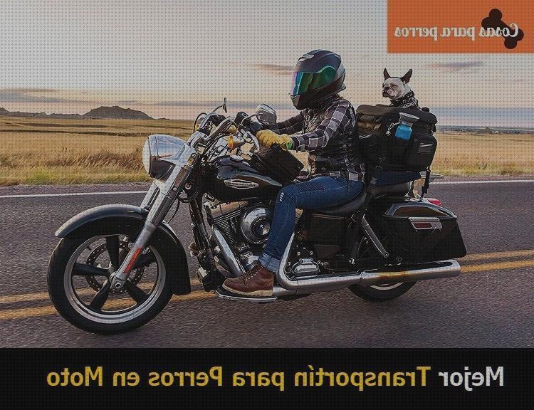 Las mejores porta mascotas porta mascotas para motos