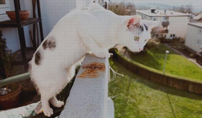 Review de protector de balcon para gatos
