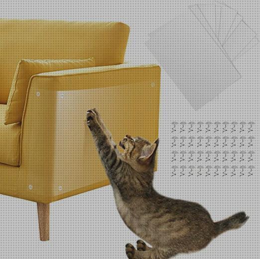 ¿Dónde poder comprar muebles gatos protector de muebles para gatos?