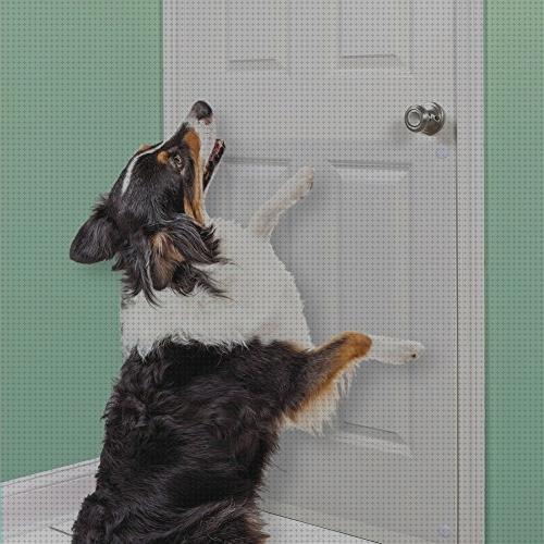 Review de protector para puertas perros