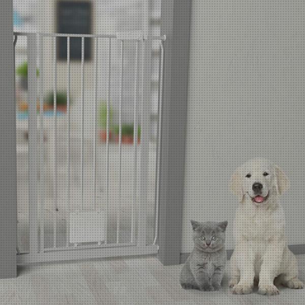 ¿Dónde poder comprar puertas gatos puerta de seguridad para gatos?