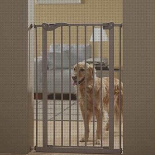 Las 18 Mejores Puertas Seguridades Para Mascotas