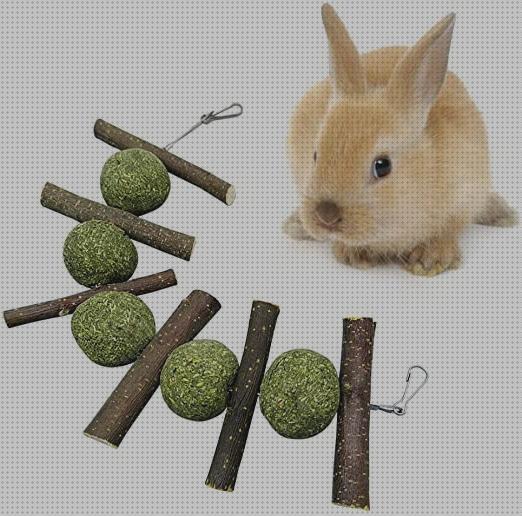 Las mejores arboles conejos ramas de arboles para conejos