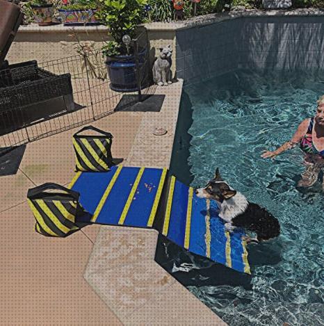 ¿Dónde poder comprar piscinas rampa para piscinas salvavidas mascotas?