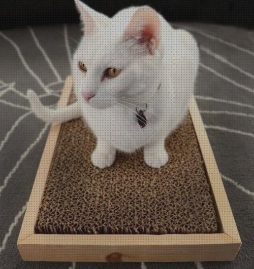 Las mejores carton gatos rascadores para gatos de carton