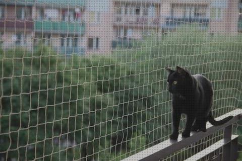 Las mejores balcon gatos red para gatos balcon