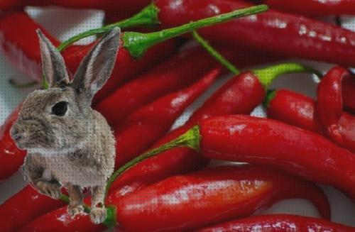 Opiniones de los 28 mejores Repelentes Naturales Para Conejos