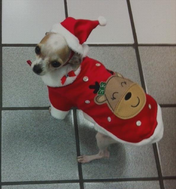 ⊛ 10 Mejores Ropas Navideñas Para Perros Chihuahua 【y】 0666