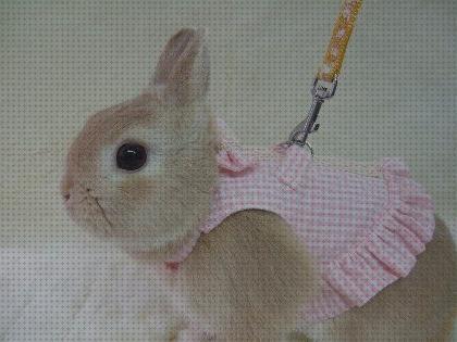 Las mejores enanos conejos ropa para conejos enanos
