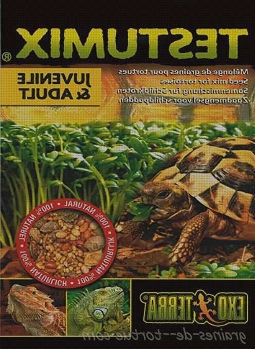 ¿Dónde poder comprar semillas tortugas semillas para tortugas de tierra?