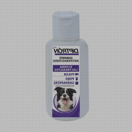 ¿Dónde poder comprar shampoo perros shampoo antiparasitario para perros?