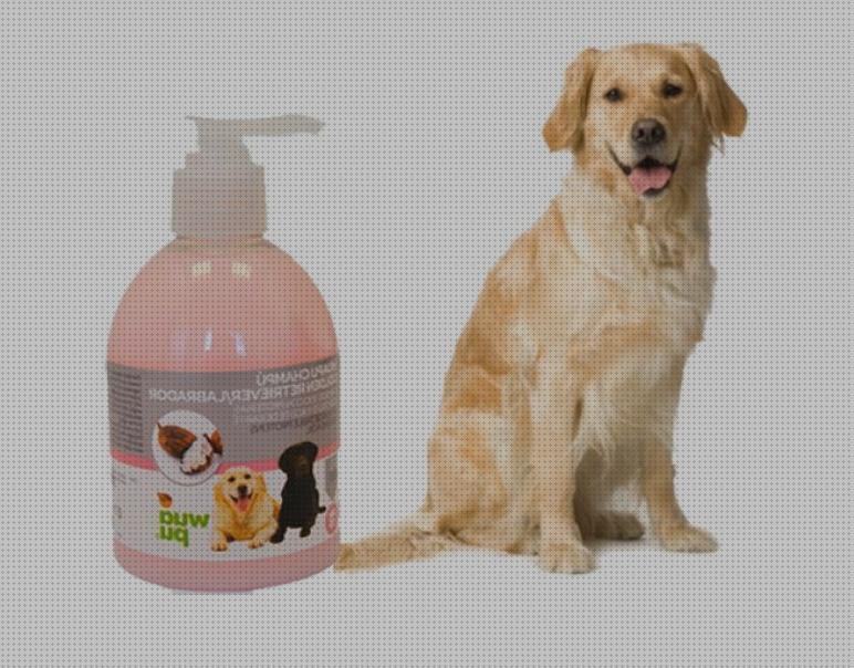 ⊛ 29 Mejores Shampoo Para Golden Retriever 【Opiniones】