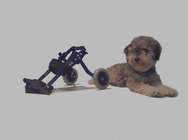 Las mejores ruedas mascotas silla de ruedas para mascotas