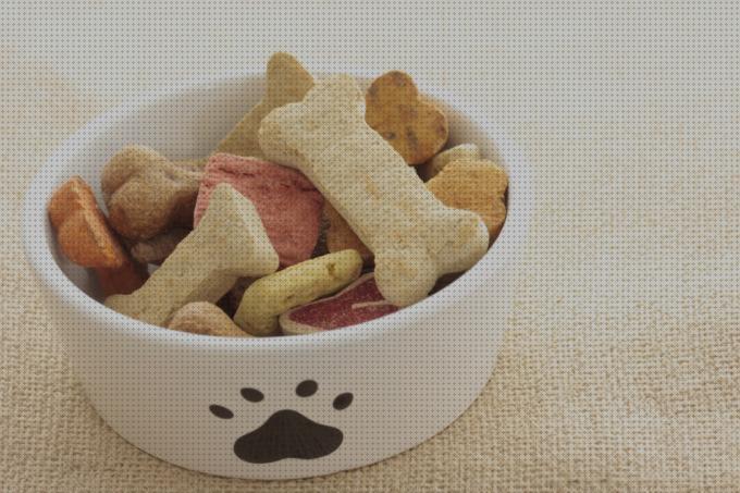 Los 17 Mejores snacks para mascotas del mundo