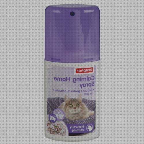 Las mejores spray gatos spray tranquilizante para gatos
