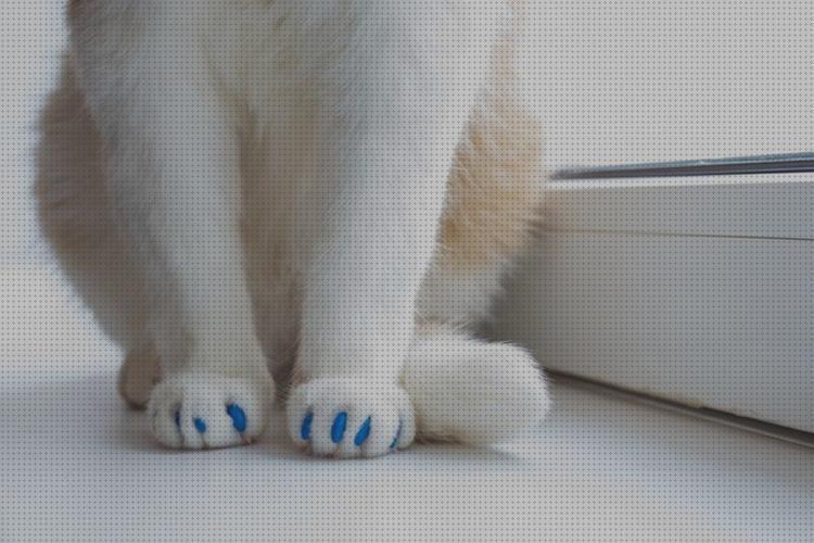 Review de tapa uñas para gatos