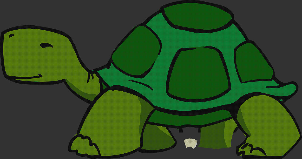 ¿Dónde poder comprar tortugas para cunsumo?