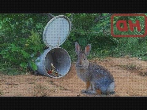 ¿Dónde poder comprar trampas conejos trampa para conejos con cubo?