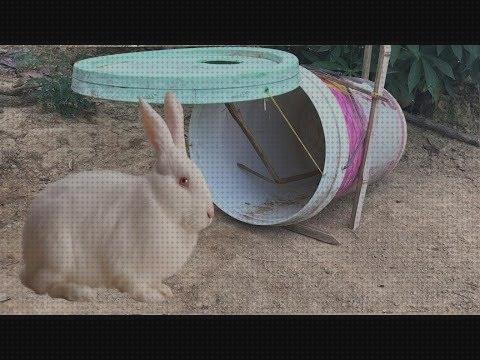 Las mejores trampas conejos trampa para conejos con cubo