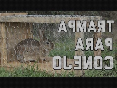 Las mejores trampas conejos trampas para conejos de campo vivos