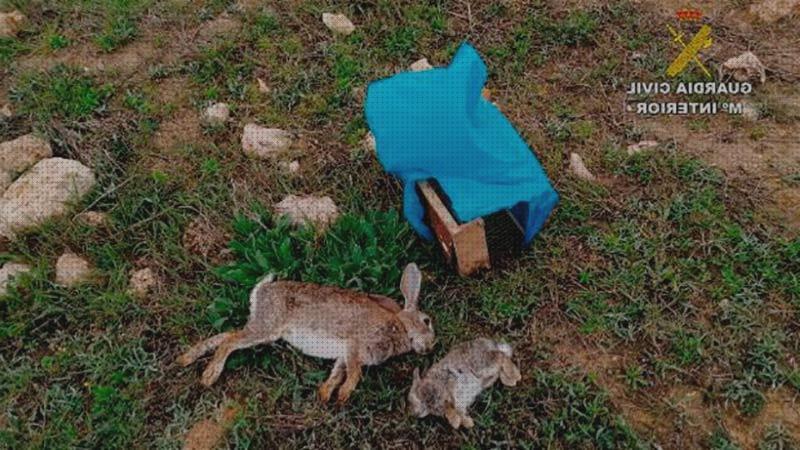 ¿Dónde poder comprar trampas conejos trampas para conejos?