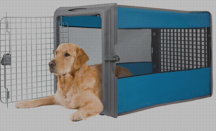 ¿Dónde poder comprar retriever transportin para golden retriever que tamaño?