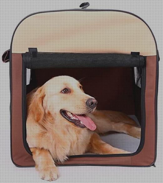 Review de transportin para golden retriever que tamaño