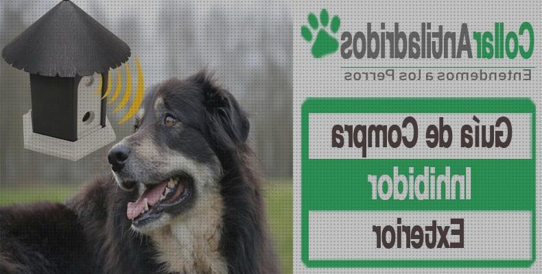 Review de ultrasonidos para perros que ladran