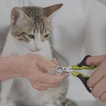 Las mejores marcas de uñas gatos uñas para gatos precio
