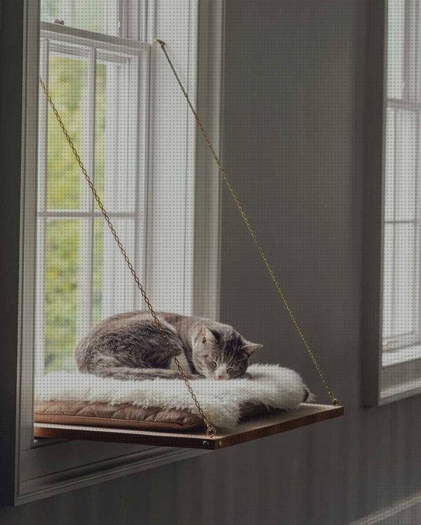¿Dónde poder comprar ventanas gatos ventanas seguras para gatos?