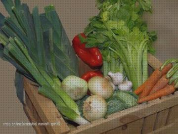 Las mejores 23 Verduras Buenas Para Cobayas