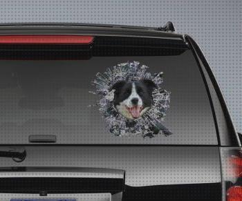 ¿Dónde poder comprar collie vinilo para coche border collie?