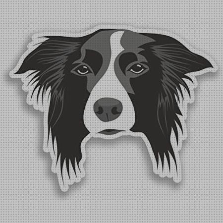 Las mejores collie vinilo para coche border collie