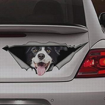 Análisis de los 7 mejores Vinilos Para Coches Border Collie