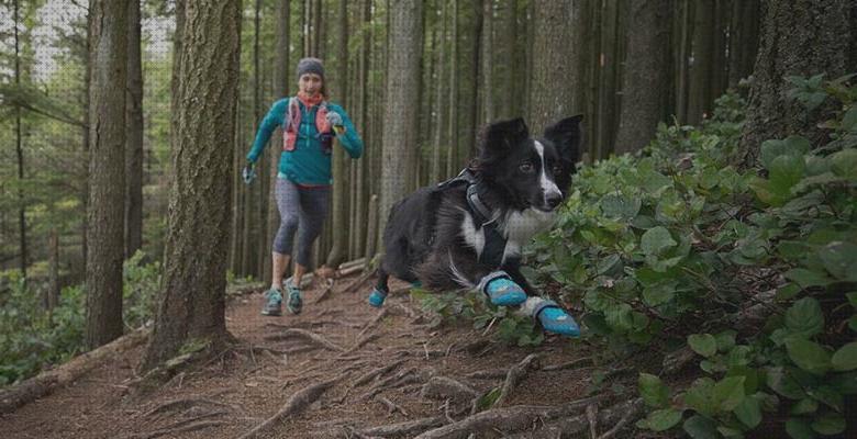 Las mejores marcas de zapatos de trekking para perros