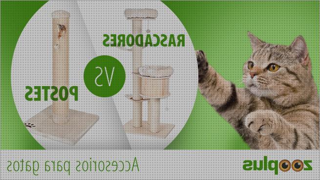 Análisis de los 16 mejores Zooplus Accesorios Para Gatos