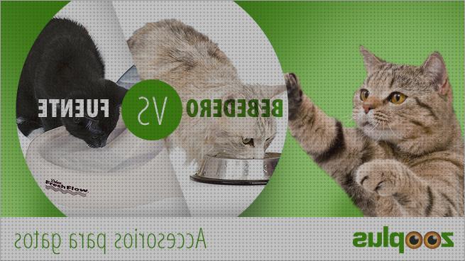 Review de zooplus accesorios para gatos