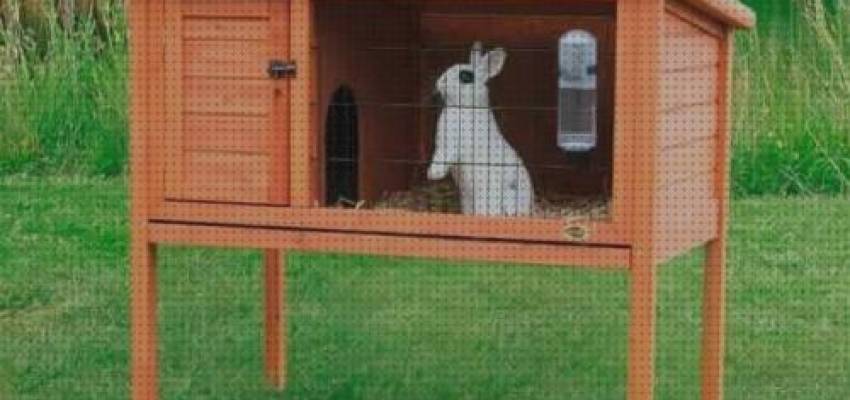 ⊛ Las 16 Mejores Jaulas Para Conejos Enanos Baratas E Seguna Manos 2021 1724